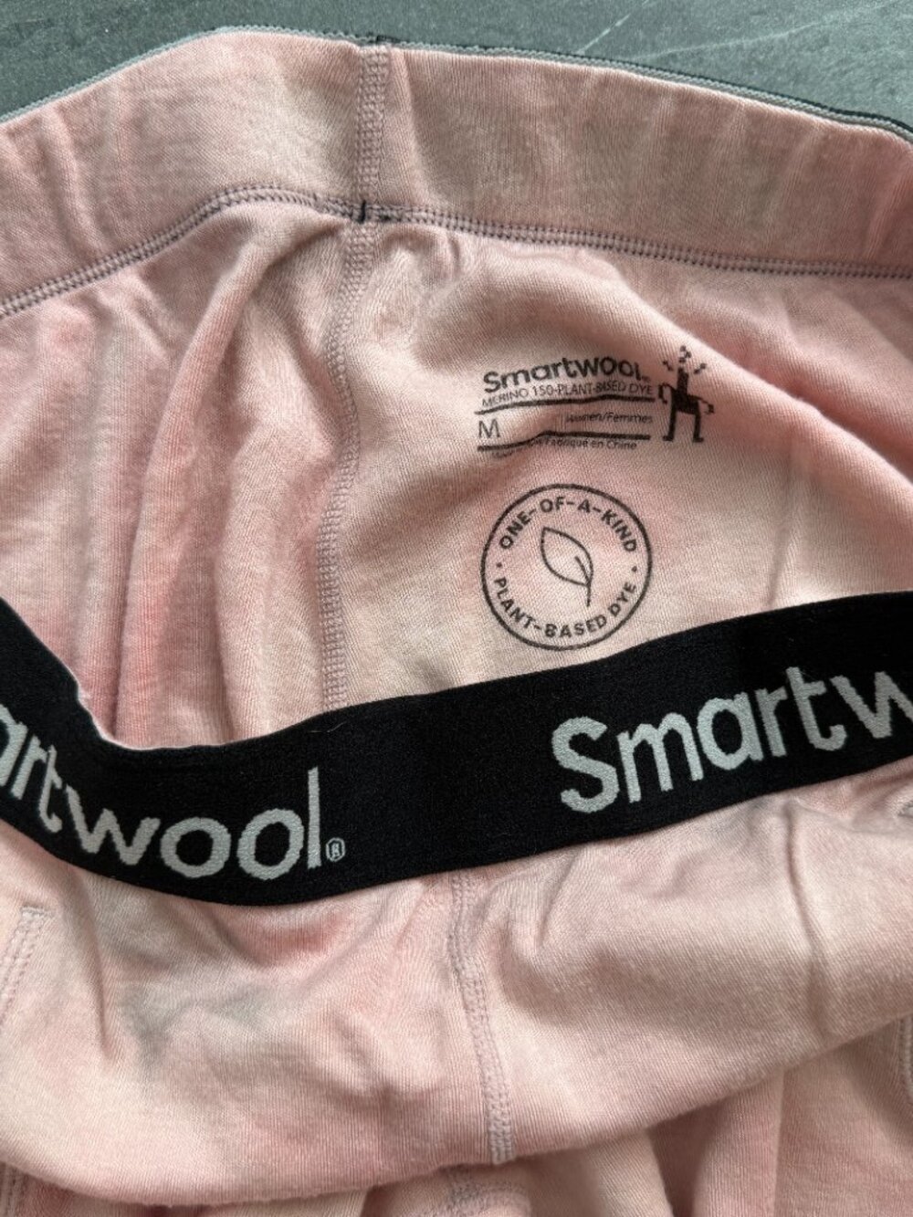 Smartwool Merino 250 Natural Dye Joggers - Picture 3 of 3